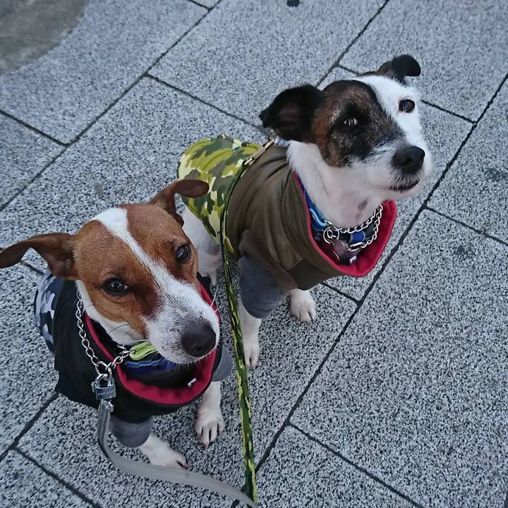 Be83649f 1d2a 4c37 ab43 922fa3942d16 1548021761095