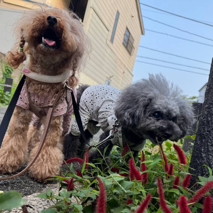 Be837adf 7509 49a0 8d1a 004066320178 1752102799228