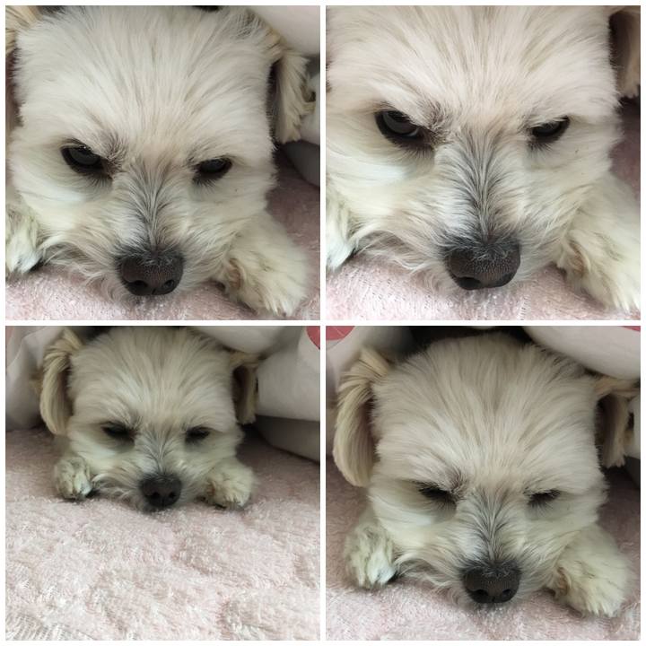 Be8391bf 1038 4c33 bb80 162d78877047 1526079637964