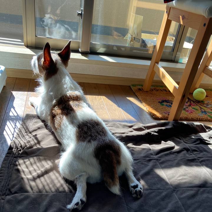 Be83c546 cc1b 40d5 9354 eddc0782a4f9 1699142212040