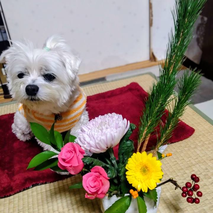 Be840b3e 951c 4199 af37 5fd8a7dc2a77 1765886209785