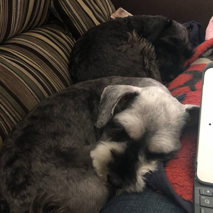 Be84180f 00d0 4659 991f 620c7f34f1a4 1520745365771