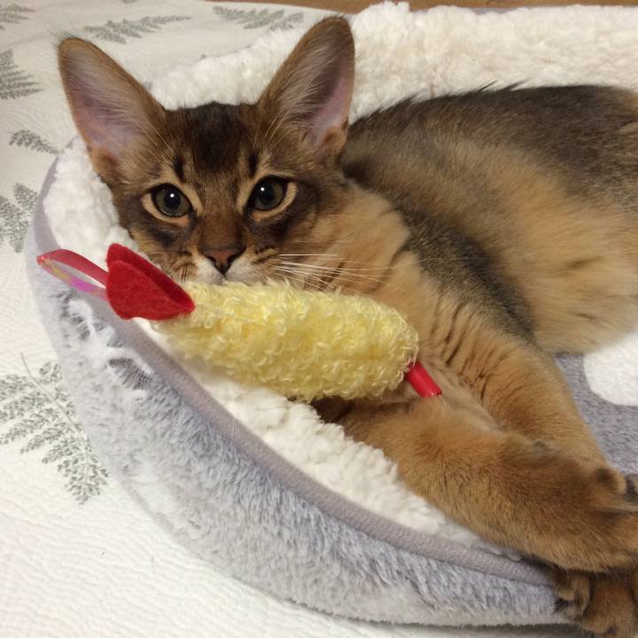 Be8429cc 2130 4a19 b28f 83a042379dd5 1573813909350