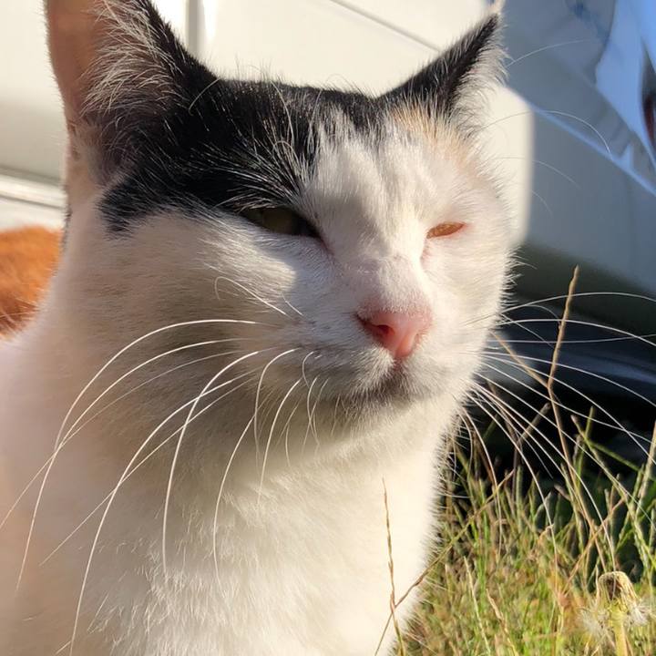 Be843463 fb18 4023 b840 0a47cf4cc268 1601162095479