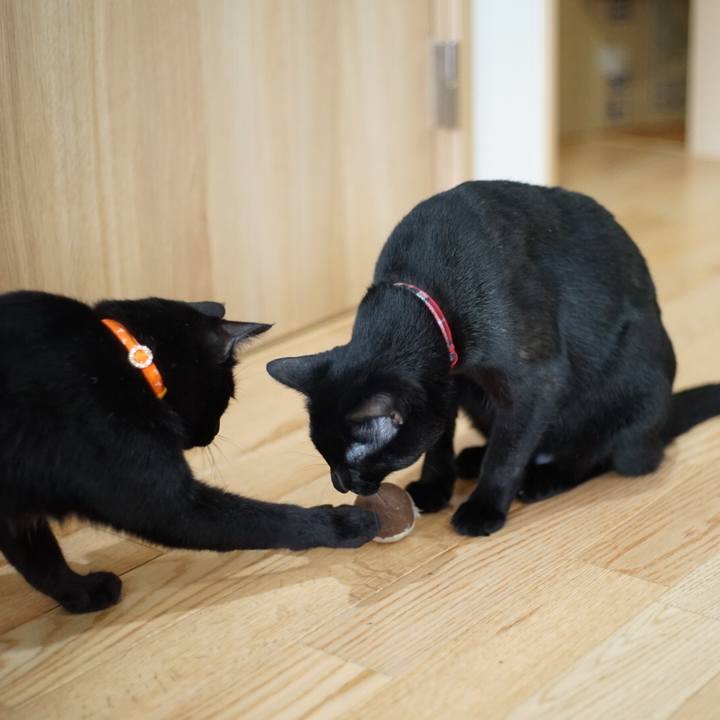 Be844592 be4b 429c ad9f f676c6125a9a 1521071663394