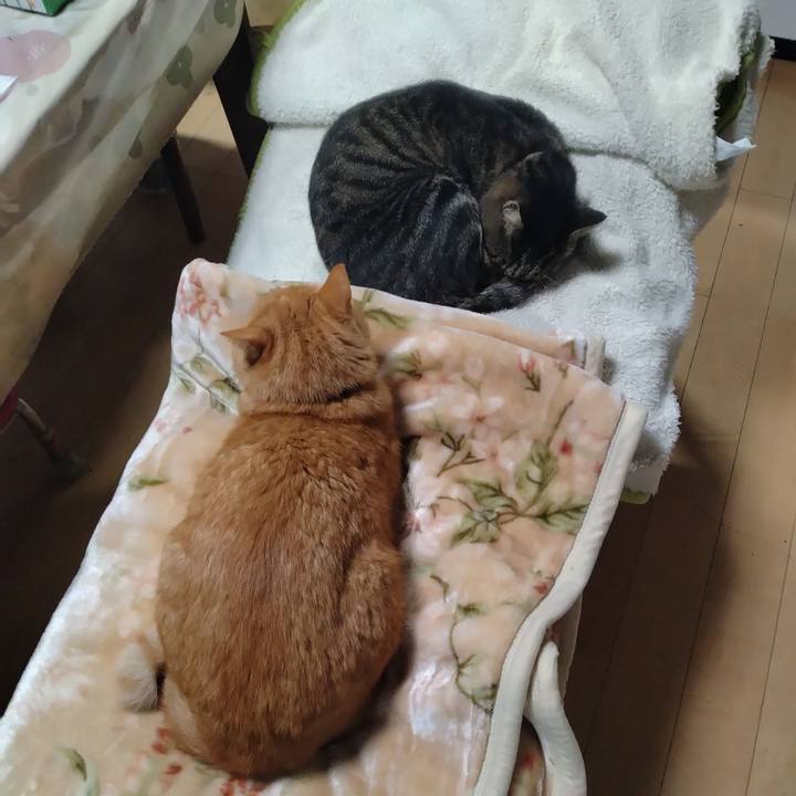 Be845782 d352 467d 84e4 bbd5a01bc269 1729548560362