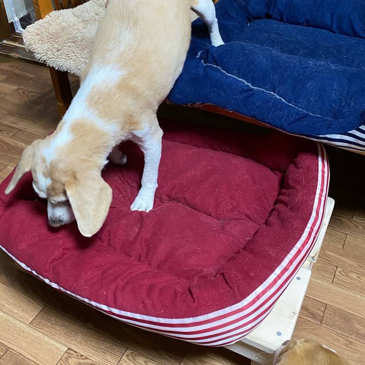 Be8469e5 7574 4b69 8dc8 9327d7d47357 1589107028129