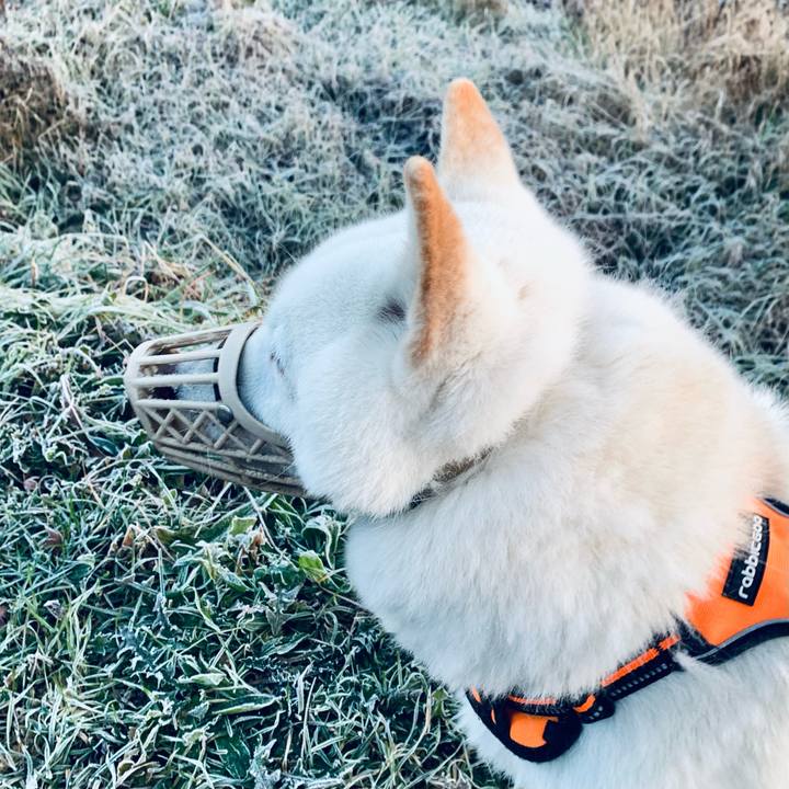 Be848703 e3e7 43d0 96ad b5c5ee7c0b47 1668551050236