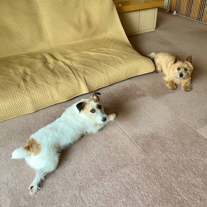 Be84a4fe e84e 4bf3 bc97 6348b3447762 1746940071482