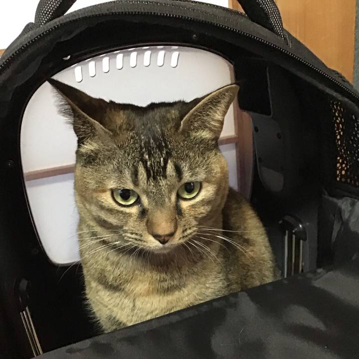 Be84ddff 0c11 4cab b75a ea6a3774366c 1703836801619