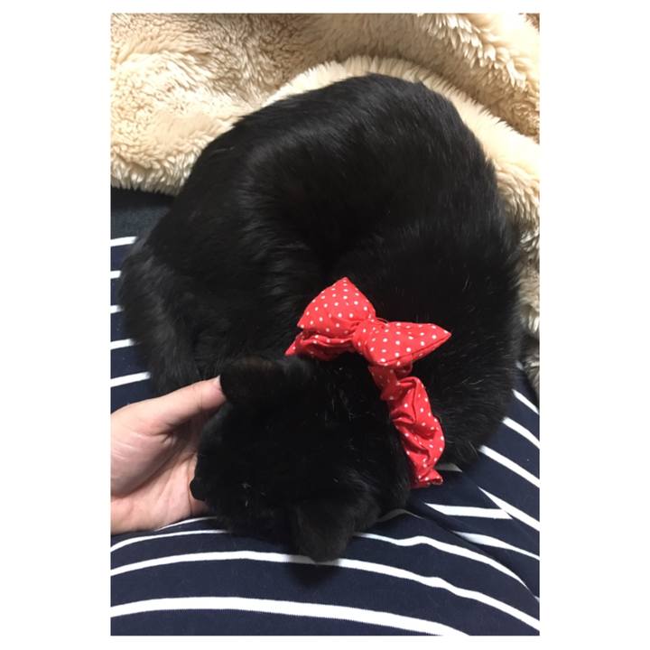 Be852799 fcda 48d2 b82d a703fe151c7c 1553083147195