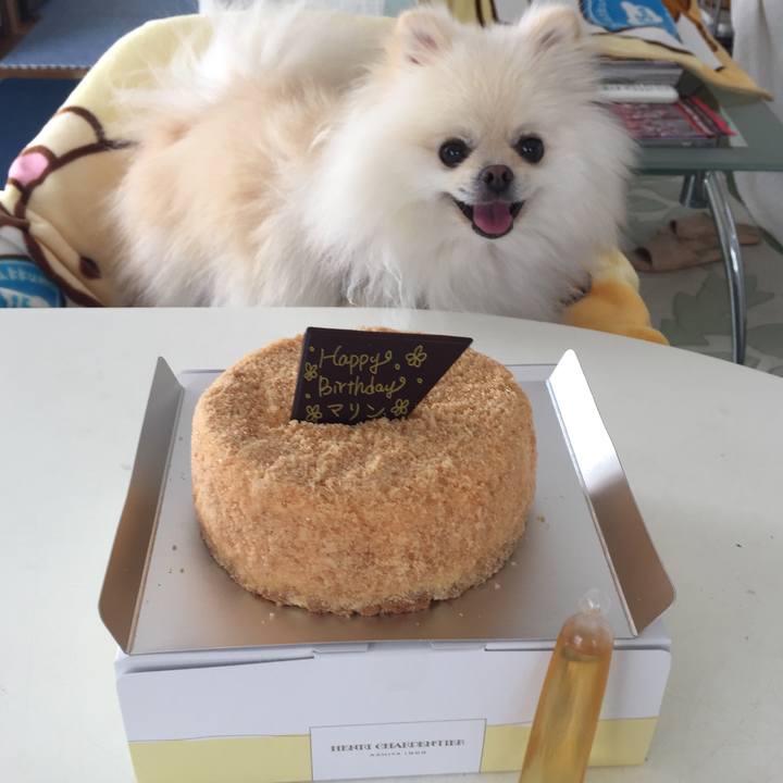 Be854780 c4a0 4acd 9f53 6292e977dd26 1565585792367