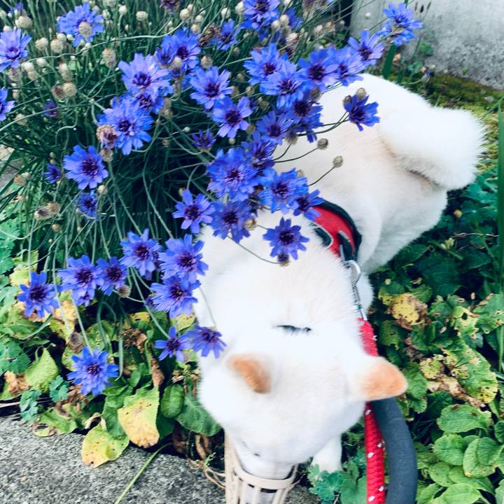 Be854b04 0e71 42e4 831b ed5438f501c1 1658005836567