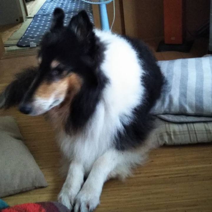 Be857af7 1a3f 44c2 b1bb 860b7287a36f 1571921158795