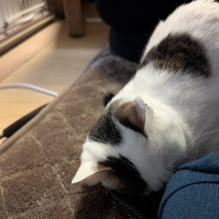 Be85a10c 352f 4b73 8bdf 34cebdab3d21 1738943558667