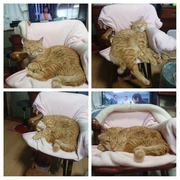 Be85a9f6 711e 4082 a887 b9888a8f2c2e 1651754491920