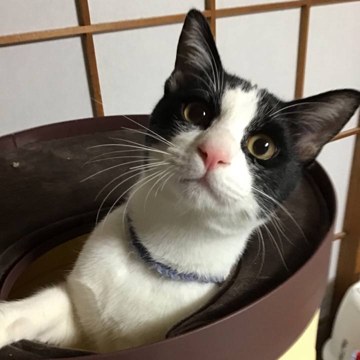 Be85b9ea 2d77 4ea1 95f9 c859ec113716 1638262331962