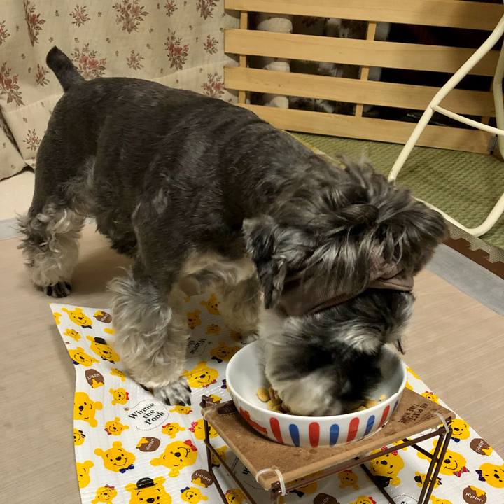 Be85e8dd f124 405f aa5a ab28b4d8fb35 1661511496385