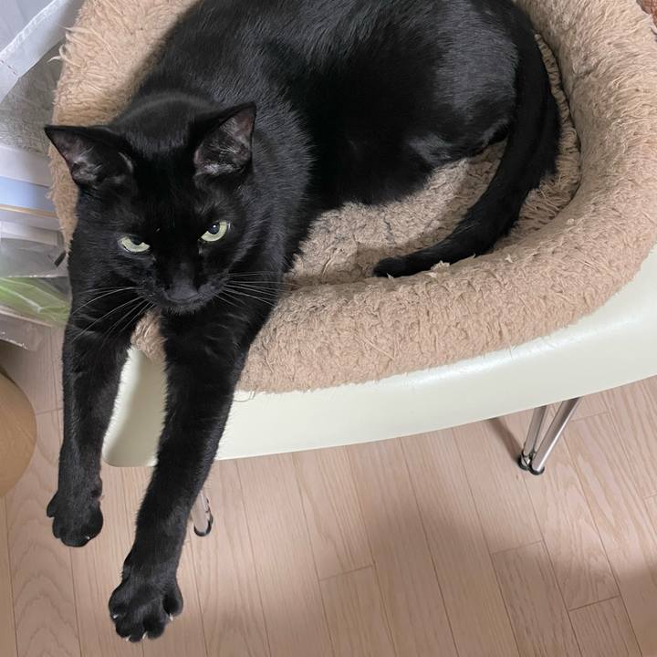 Be861fe1 31e7 4359 a12b aeb8d97105d5 1677141756151