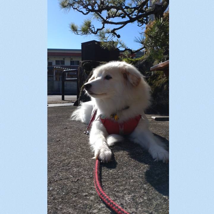 Be8631f4 9650 4924 8447 06525be16be7 1666306264614