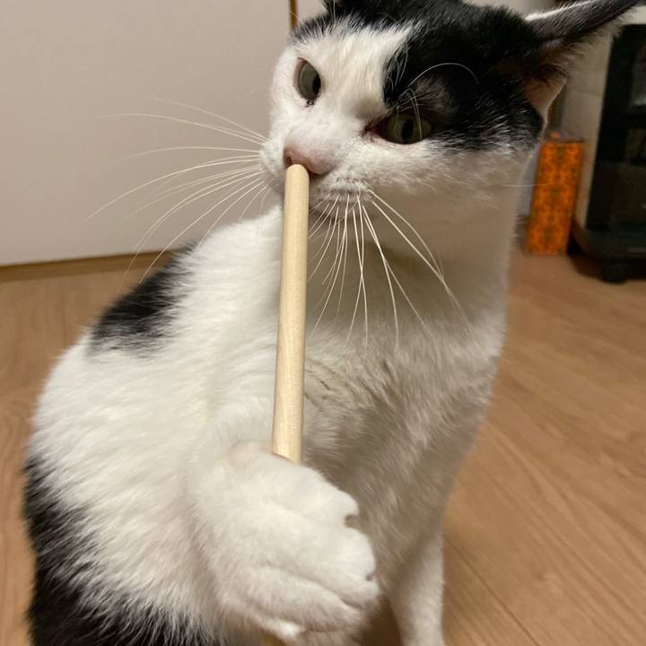 Be863303 c5c4 44bb b617 01763f3ad569 1575809951412