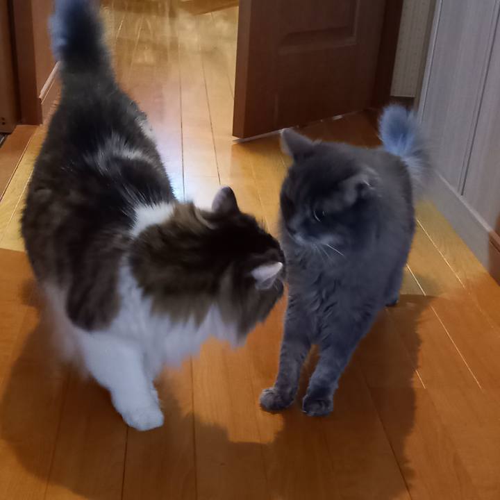 Be864ecd 37dd 450f 88e9 84011a028d14 1662074993221