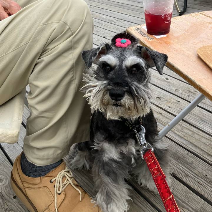 Be8652ed 3767 45e4 97f8 28ec3418e936 1721544835470