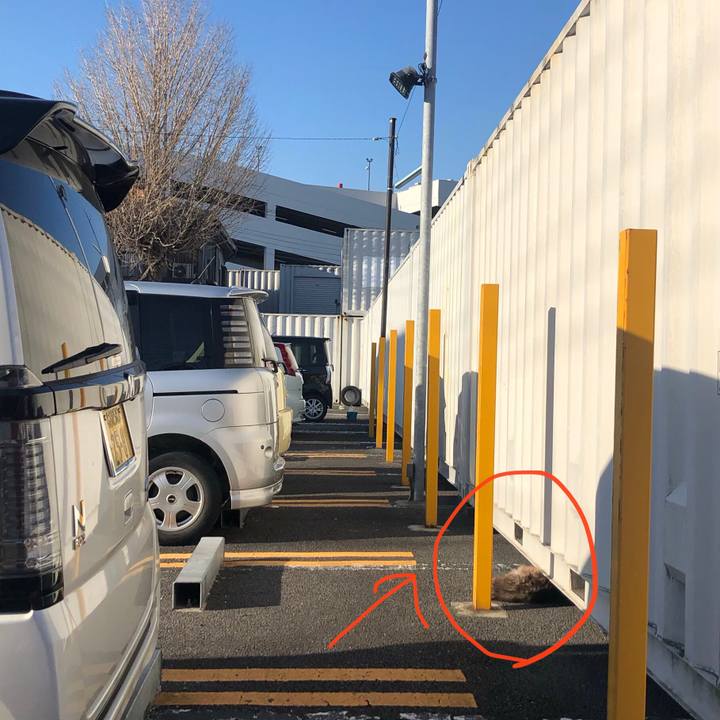 Be865515 a82e 486d 9768 fefaed5dbded 1583134038124