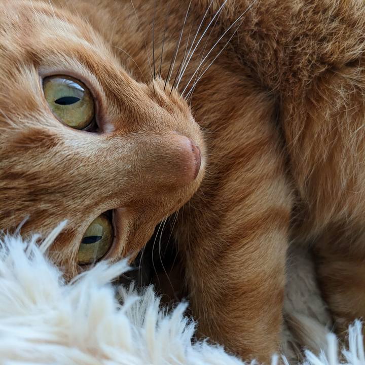 Be8698d7 84a4 4547 b2ef 8a1653afd73a 1673235479782