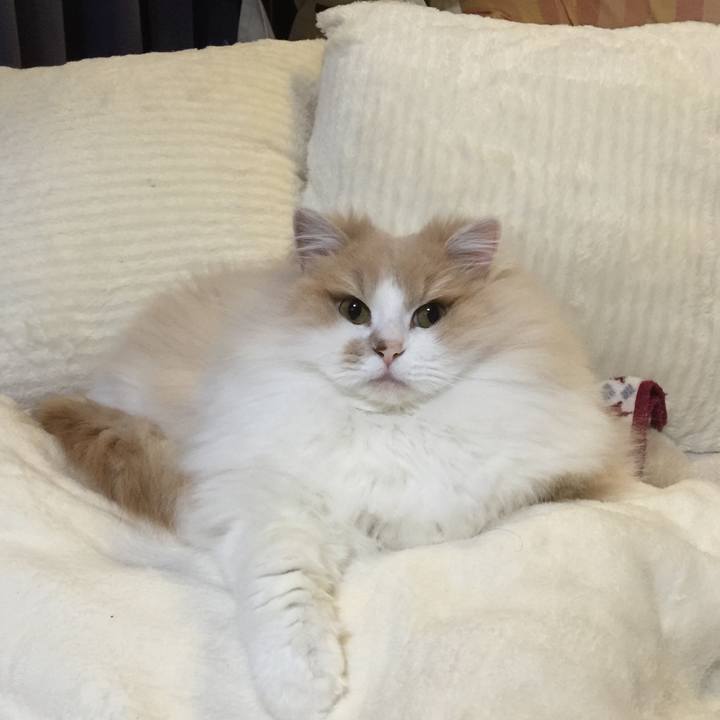 Be869dc5 11b9 4f9d b436 4d54821b5500 1516288273869