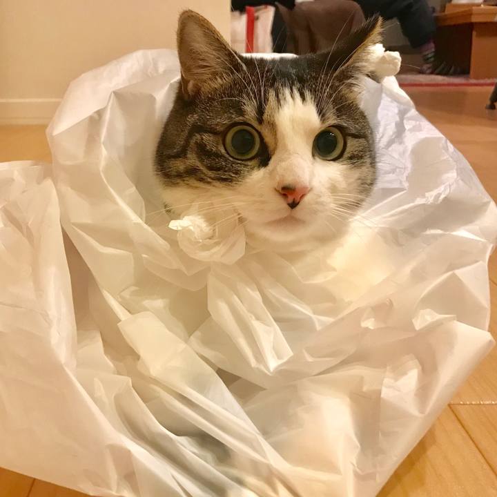 Be86b079 0444 43e8 88de 1797895cf99a 1520045733328