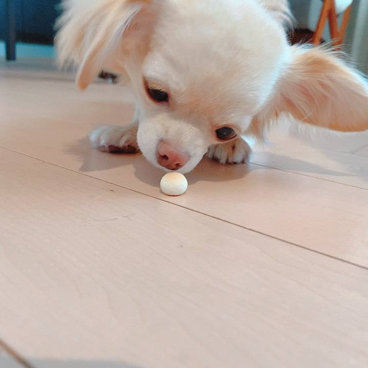 Be86cd6d 6fc8 4752 96fa abaf7dfb6e60 1618463966114