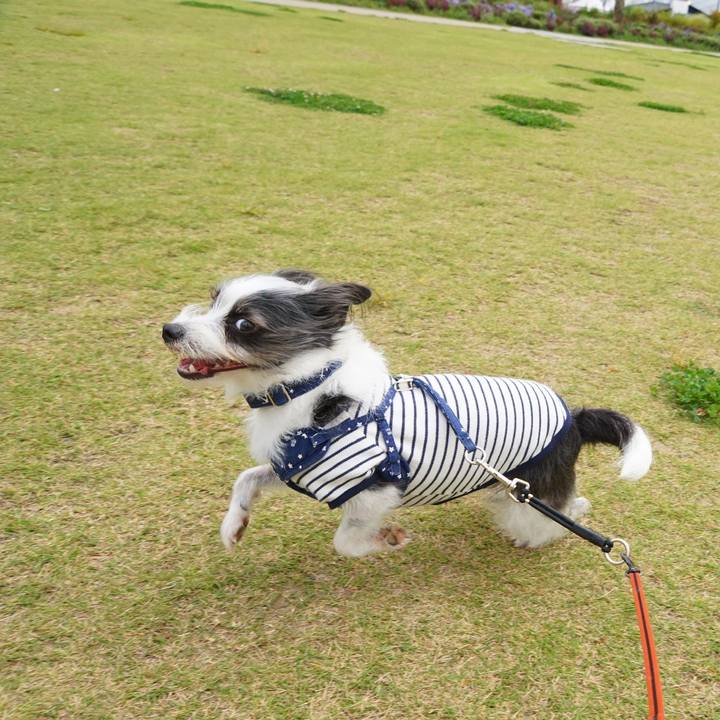 Be86d4e7 98cb 4aff 8994 d5423bc64db6 1570700520636