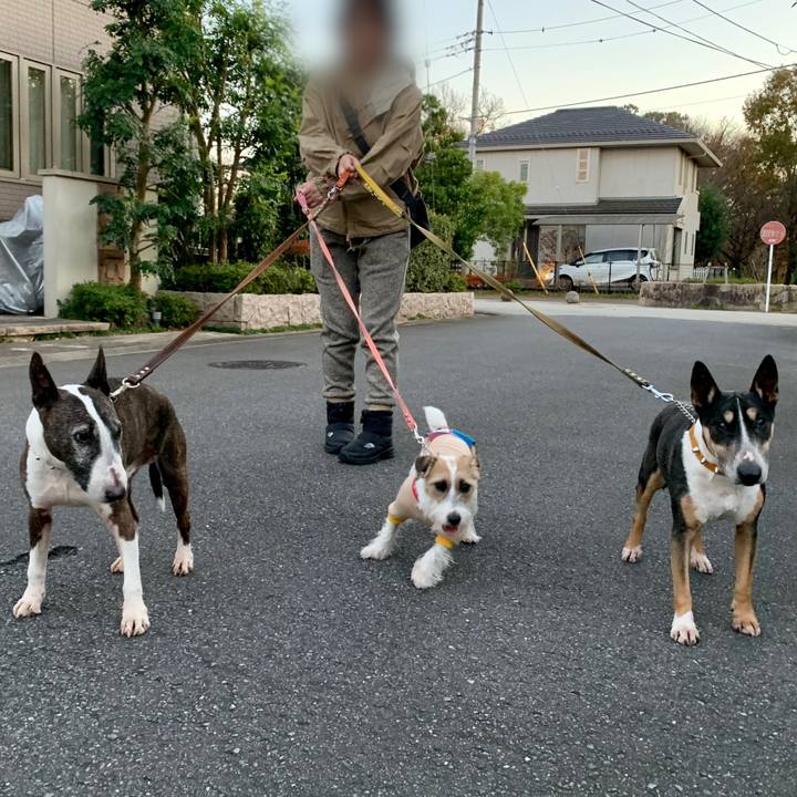 Be87178b c414 465b 82db 29a2c040002f 1606563811913