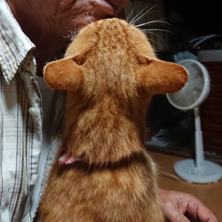 Be871d3d a22d 4b28 9e21 09ab1e3a1730 1600891927130