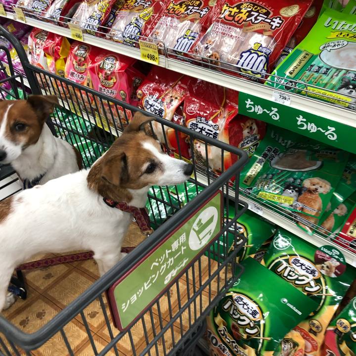 Be871fc8 f93b 4ec7 913d 2b998726b77d 1546668172901