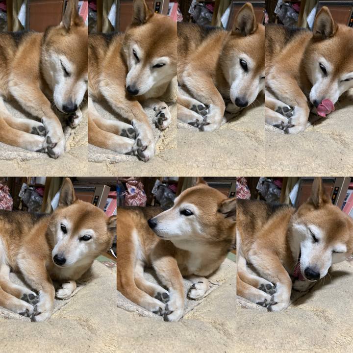 Be872eb6 8ac1 4bed 99ed f8e8caa11e08 1738847374422