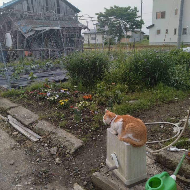 Be874d9e 2810 43c0 a660 f5f256fd2372 1748900755690