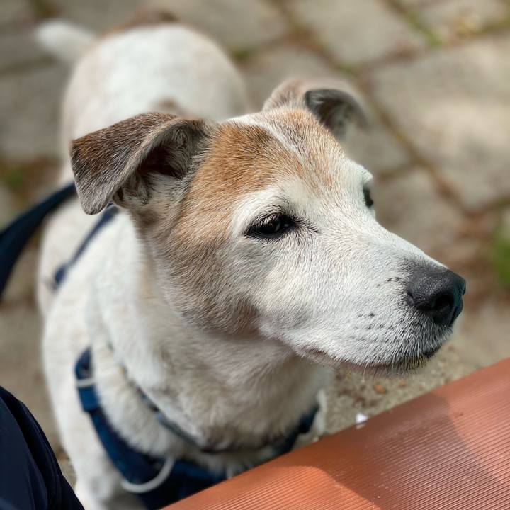 Be876002 1cde 4905 8117 e1241cbc1b16 1650170534006