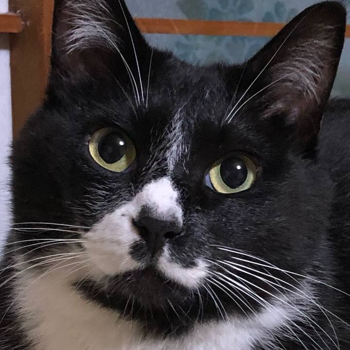 Be8799d2 2943 4739 b0e0 3b459013f049 1591413679224