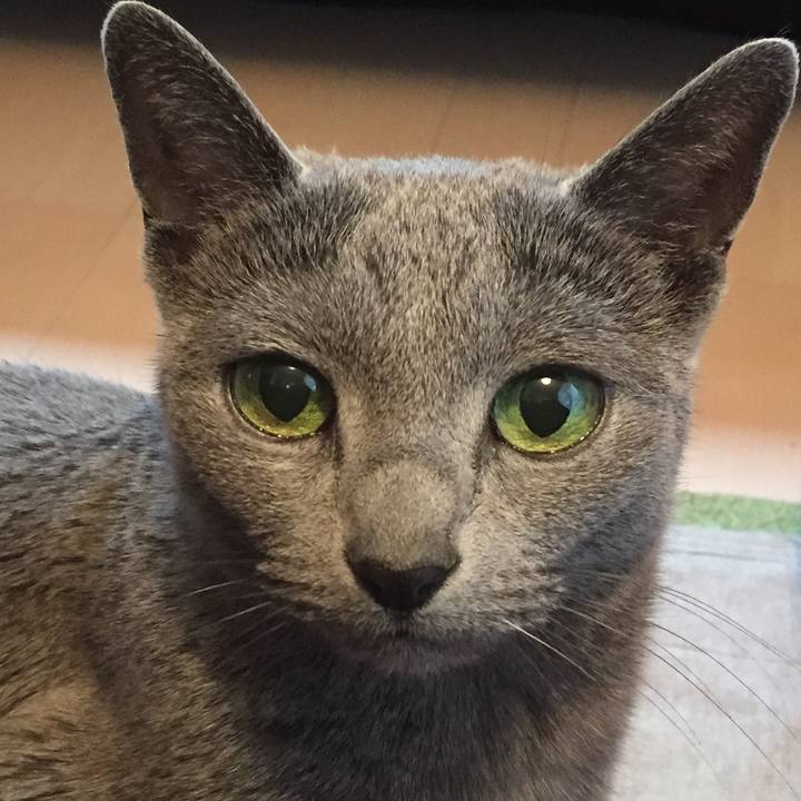 Be87a994 391b 43da a070 c106d91ff9d5 1520724947382