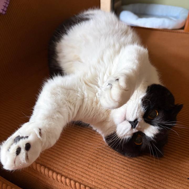 Be87e0a0 9db3 42eb 95d9 cbd9b96bb141 1771888825974