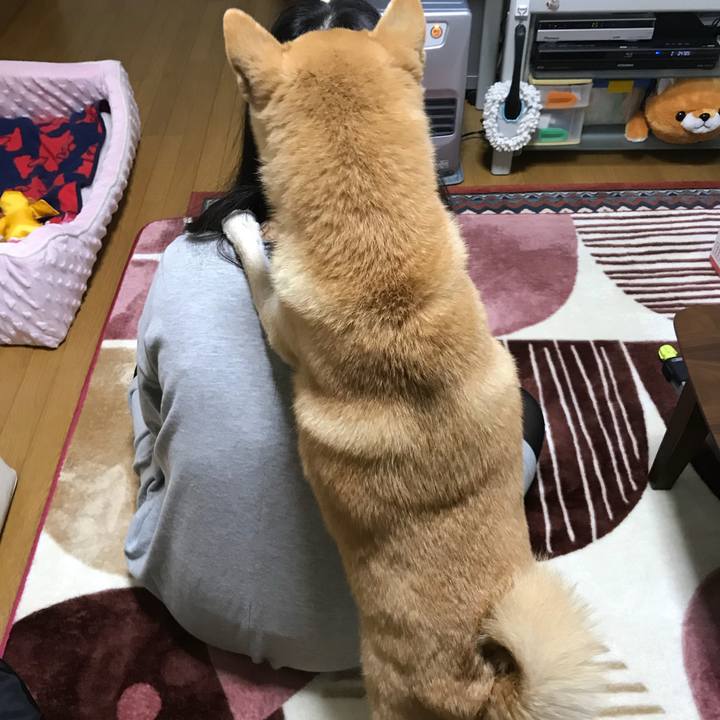 Be880469 54c8 450f 88c3 29175555c958 1515670855726