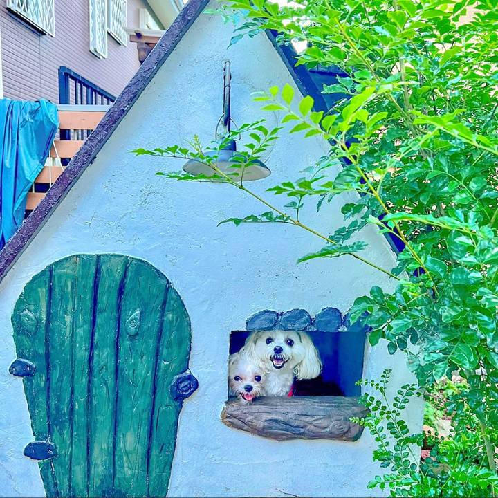 Be88158f 1980 4fab b844 7df8ea6dd339 1658549509199