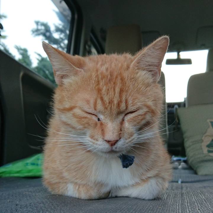 Be8830c5 56ef 4d3d 8126 c465b0d7210a 1559382294747