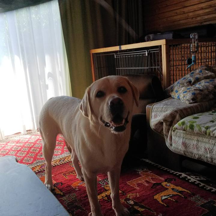 Be884171 1e73 4280 b2f7 b17b1f7a9c8c 1533172921457