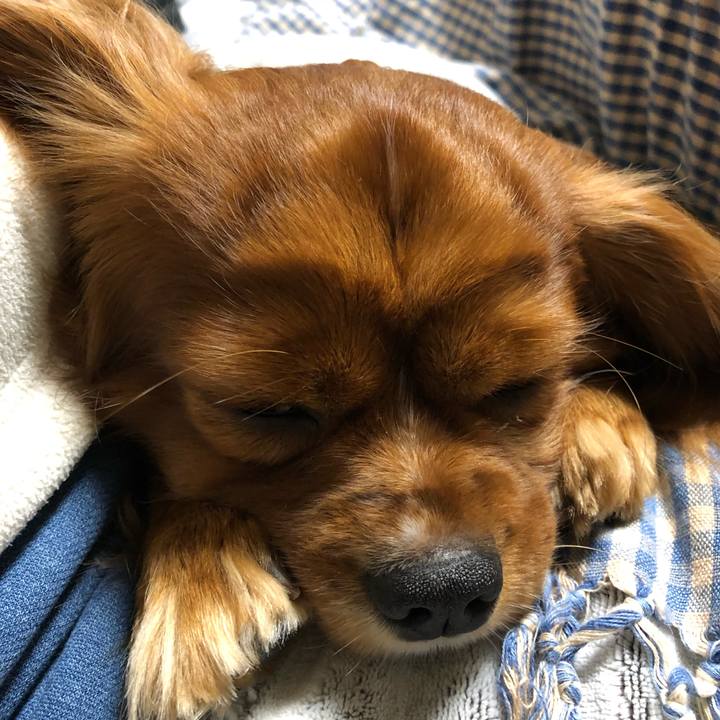 Be8847a9 fa62 43cf a9a1 1f6a65d2f675 1581805148291