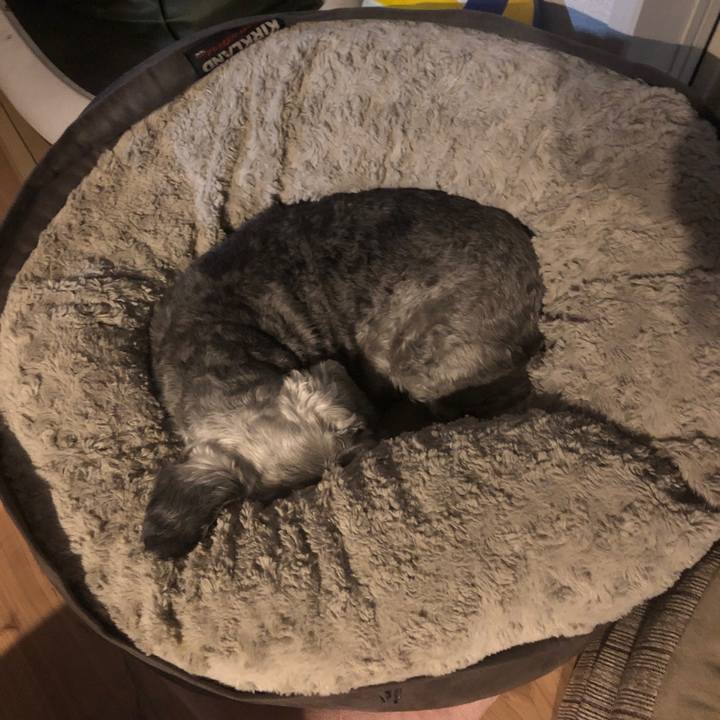 Be884a60 4747 4287 9240 1a4dc14e2fe7 1714563618869