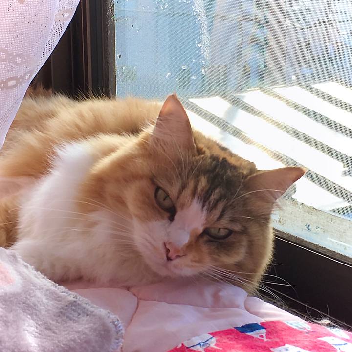 Be890ecc 7143 4d70 94b9 1aba7f54b4e1 1607485611210