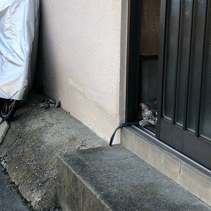 Be892820 33a7 46e6 9060 667e75d077d4 1567175441063